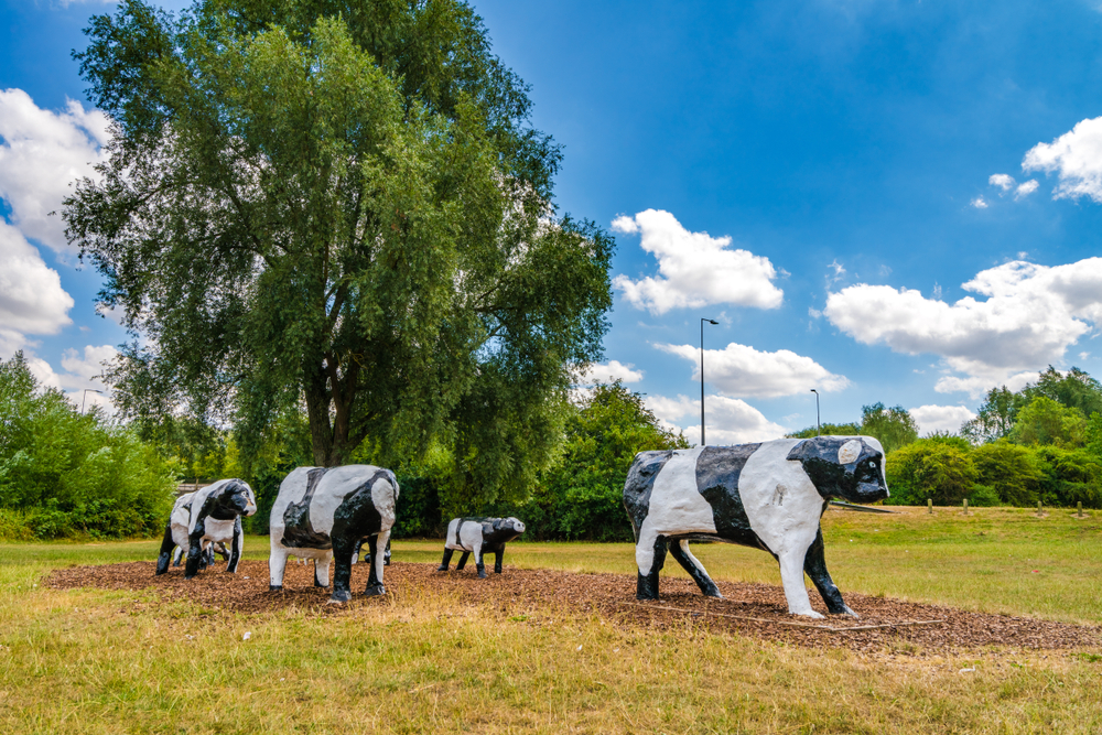 Fake,Cows,At,The,Park
