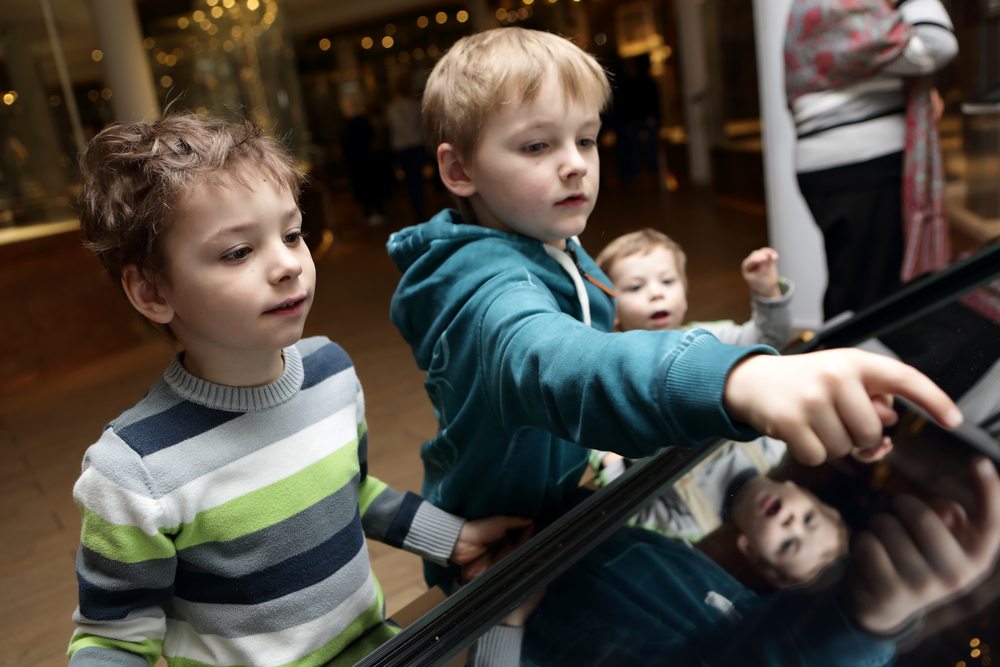 Brothers,Playing,With,Touch,Screen,In,A,Museum