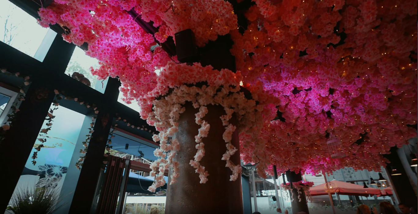 Blossom, Room, Milton, Keynes